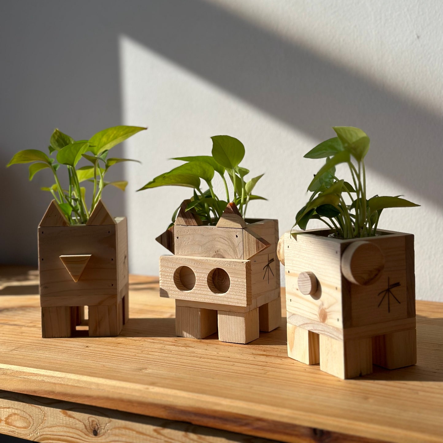 Chonkies Planters - Upcycling Workshop