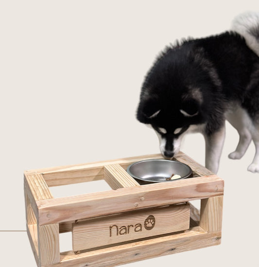 Pet Bowl Stand - Upcycling Workshop