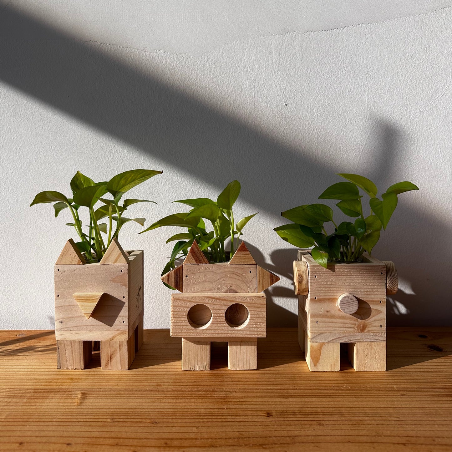 Chonkies Planters - Upcycling Workshop